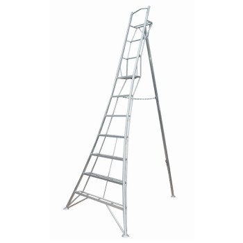 Landscape Ladders